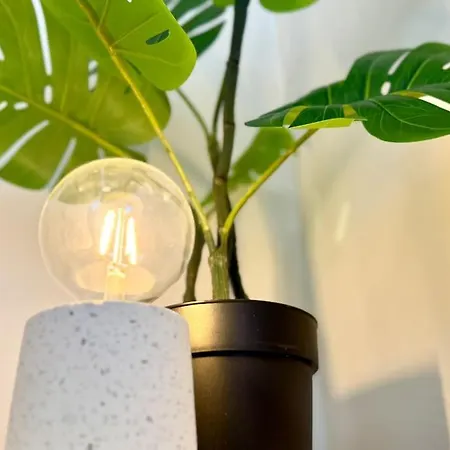 公寓 Stylisches Loft-apartment In Der Stadtmitte - Paul - 巴特梅根特海姆